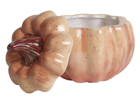 Pumpkin Container