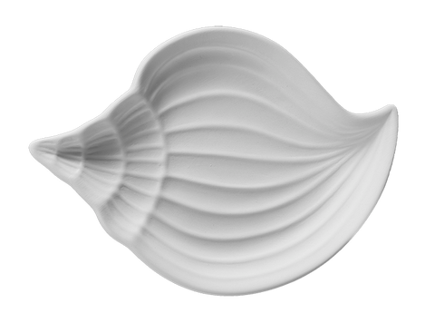 Conch Shell Plate