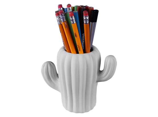 Cactus Pencil Holder