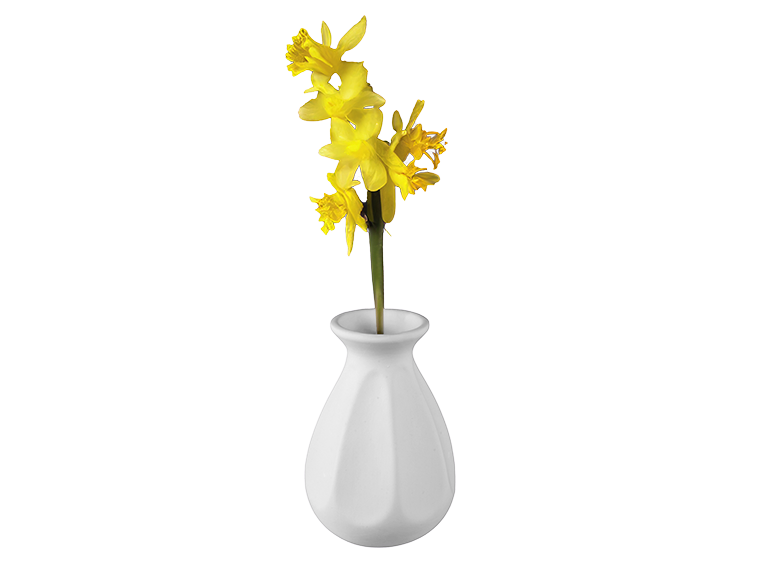 Pinched Petal Vase