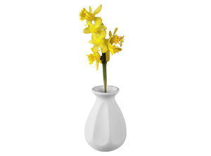 Pinched Petal Vase