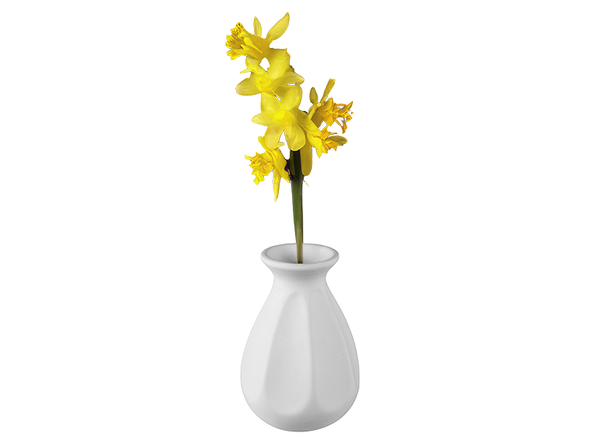 Pinched Petal Vase