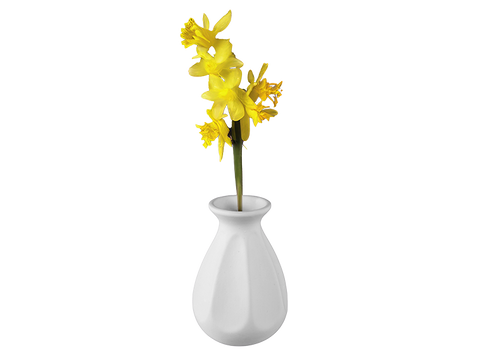 Pinched Petal Vase