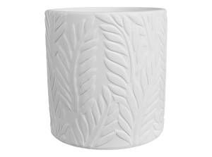 Tropical Fern Planter