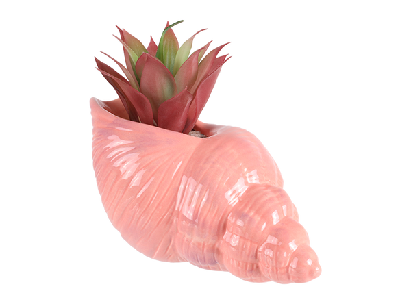 Trumpet Shell Planter