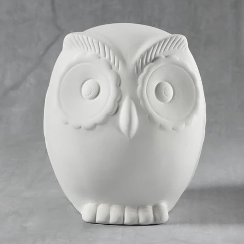 Screech Owl Bank