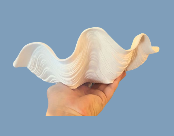 Giant Clam Bowl Hand Made