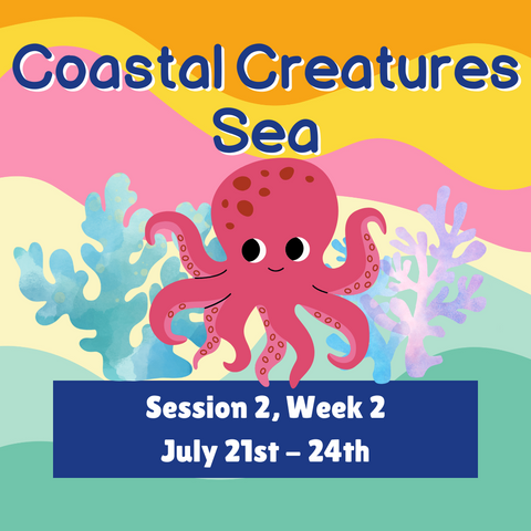 Summer 2025  | Coastal Creatures Week 2  July 21-24th   Sea (7th-9th grade)