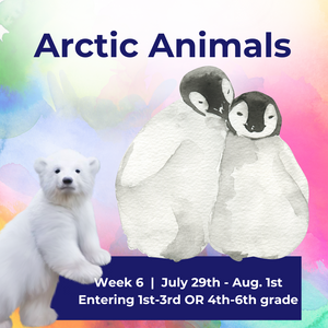 Week 6 Summer Camp 2024   (1st-3rd & 4th-6th) "Arctic Animals"  |  July 29th- August 1st