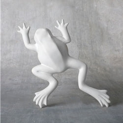 Wall Frog