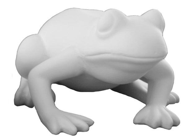 Mr. Frog